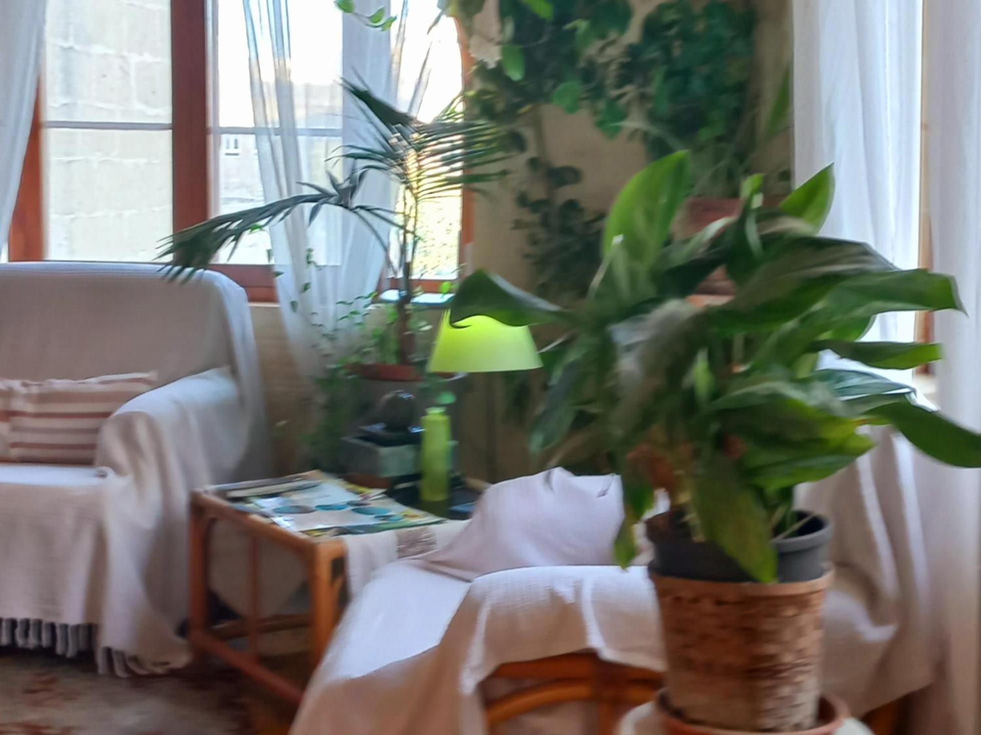 Ta' Didi B&B Kercem Экстерьер фото